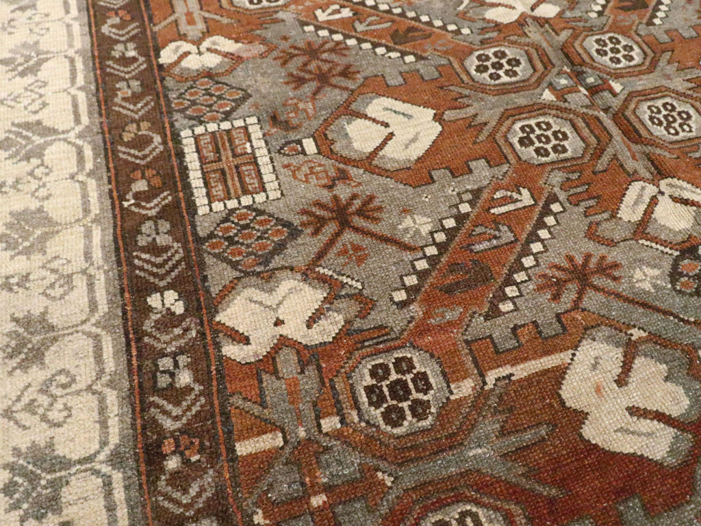 Antique Caucasian Zeikhour Carpet, No.15935 - Galerie Shabab