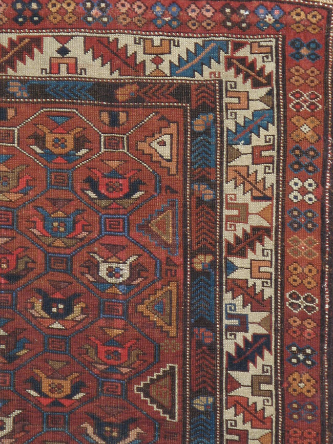 Antique Shirvan Rug, No.17832 - Galerie Shabab
