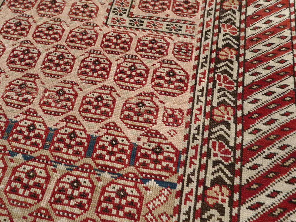 Antique Caucasian Shirvan Rug, No.20257 - Galerie Shabab