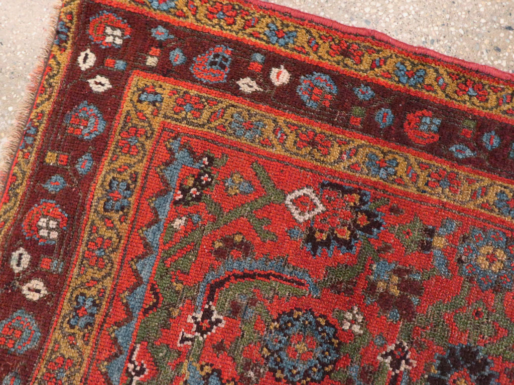 Antique Kurdish Bidjar Rug, No.20521 - Galerie Shabab